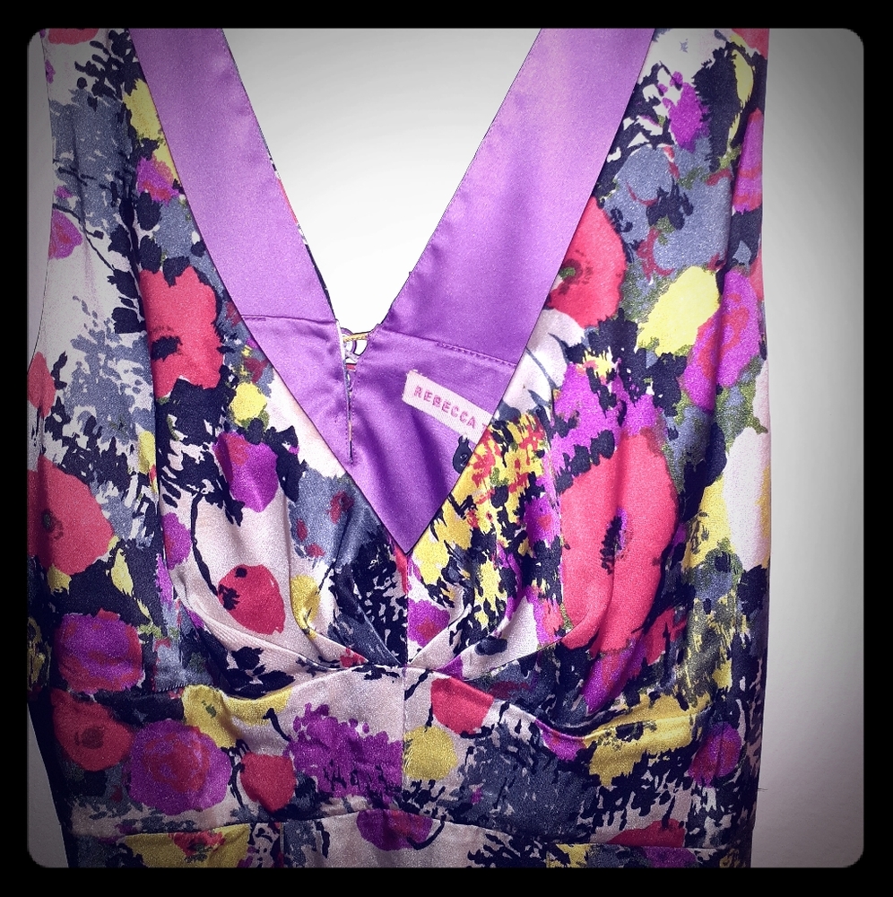 NWT Beautiful Rebecca Taylor Babydoll Silk Top 2